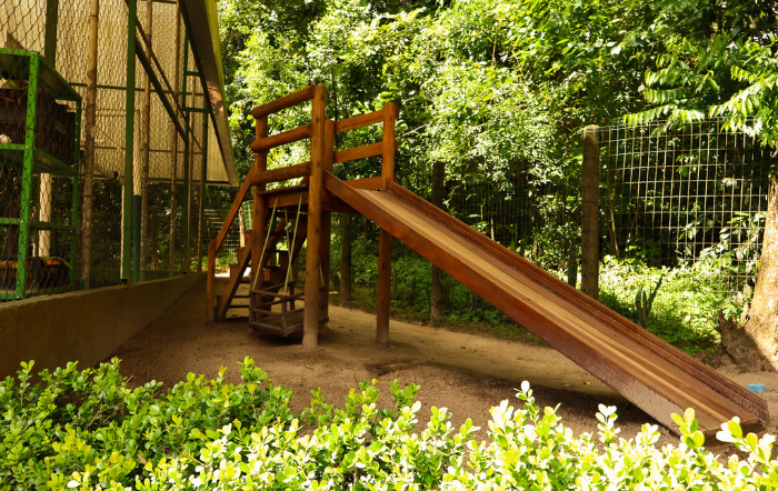 PROJETO 21_ED.INFANTIL