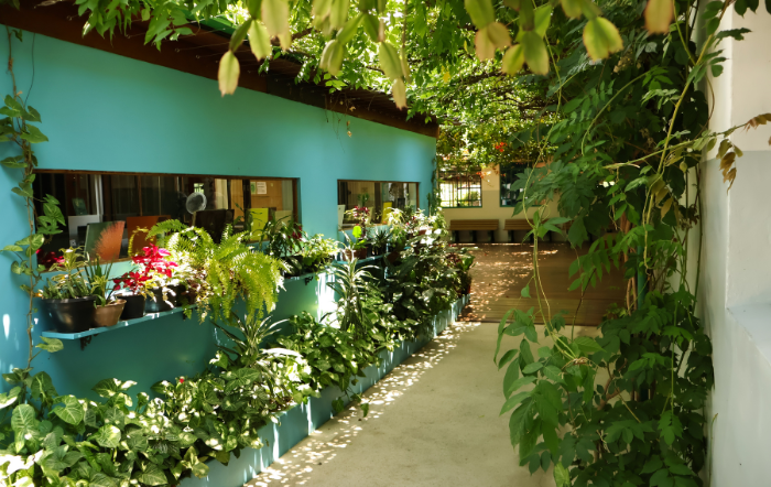 PROJETO 21_ESCOLA